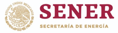 Logo Secretaria de Energia